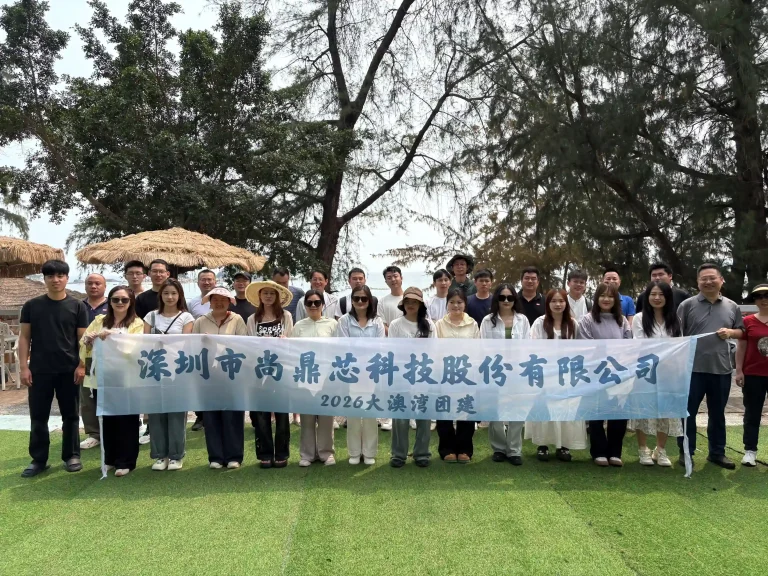 Din-Tek Semiconductor Team Building